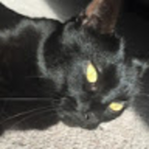 smudge8887